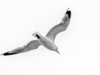 Isle of South Uist